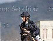 Curcio Carry Money TosTour2013- S5 2919 : Arezzo, Arezzo Equestrian Centre, Carry Money, Curcio Serena, Toscana Tour 2013, foto di Stefano Secchi ©